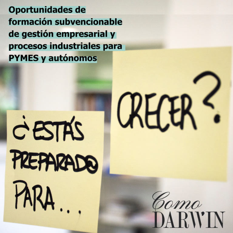 consultoría mejora continua empresa industrial
