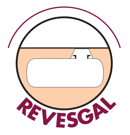 LOGO REVESGAL - OPTIMIZACION DE PROCESOS INDUSTRIALES